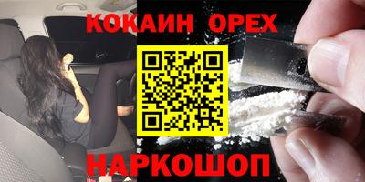 спиды Новодвинск