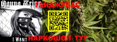спиды Новодвинск