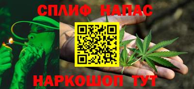 спиды Новодвинск