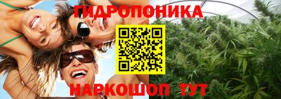 спиды Новодвинск