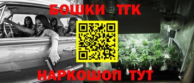 спиды Новодвинск