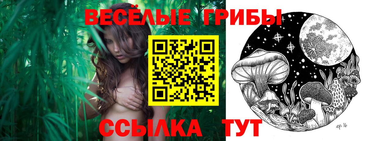 Галлюциногенные грибы мицелий Урай